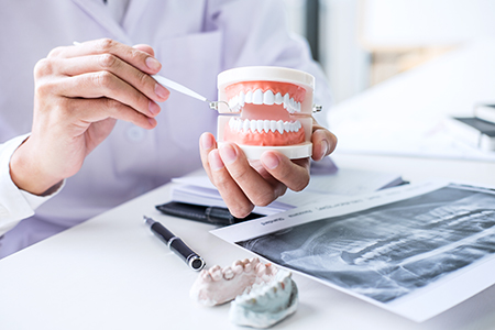 A dentist demonstrates dental implant technology with a 3D model.